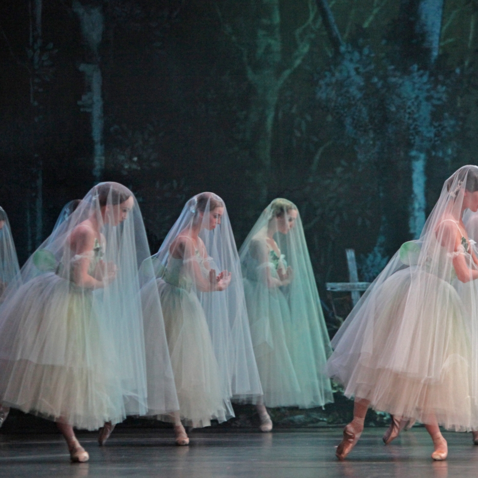 Artists of Houston Ballet Photo: Amitava Sarkar