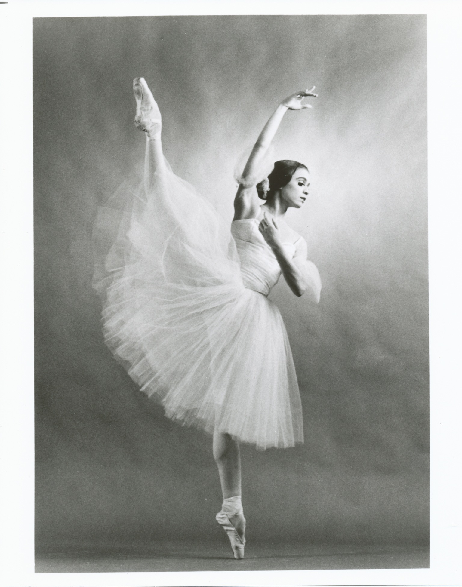Балерина фонтейн 5 букв. Фонтейн балерина. Мари Фонтейн балерина. Марго Фонтейн биография.